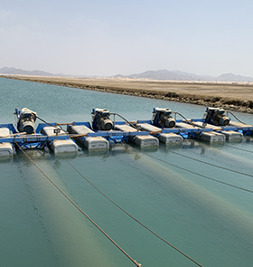 Aquaculture Jeddah, Saudi Arabia