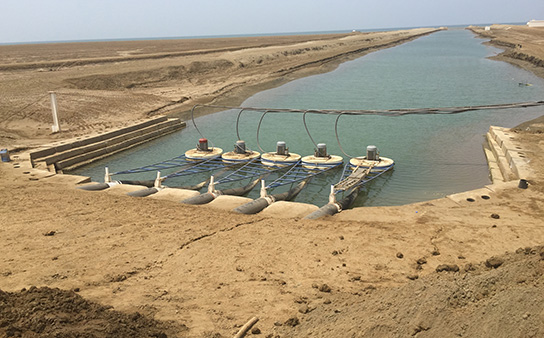 Aquaculture, Saudi Arabia