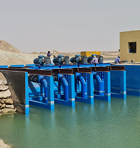 Aquaculture Muscat,Oman